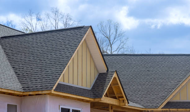 Best Roof Moss and Algae Removal  in Midway, GA